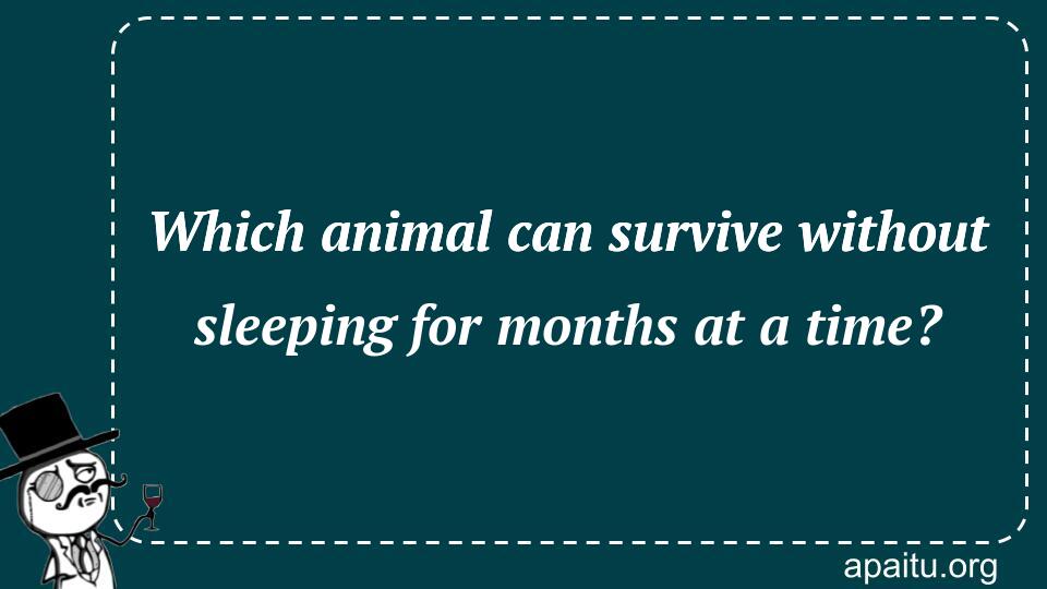 Which animal can survive without sleeping for months at a time?