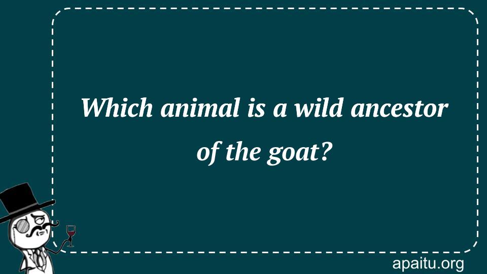 Which animal is a wild ancestor of the goat?