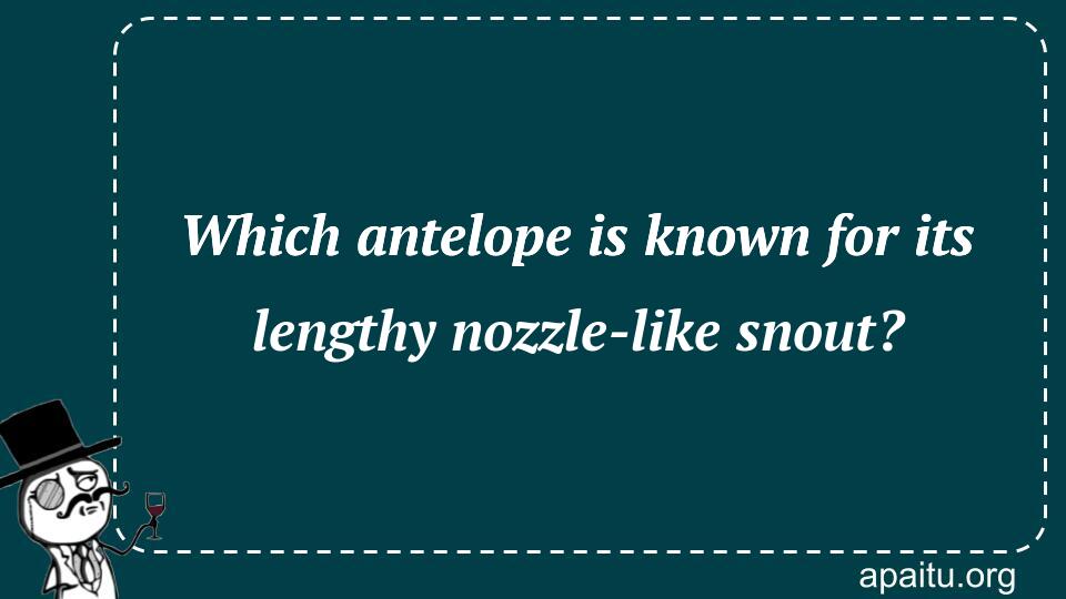 Which antelope is known for its lengthy nozzle-like snout?