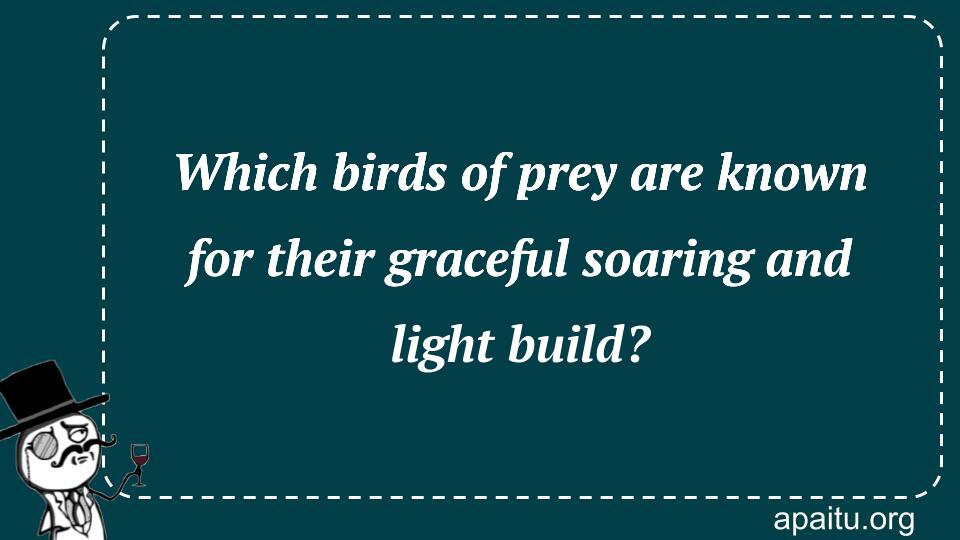 Which birds of prey are known for their graceful soaring and light build?