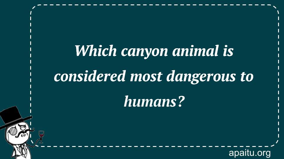 Which canyon animal is considered most dangerous to humans?