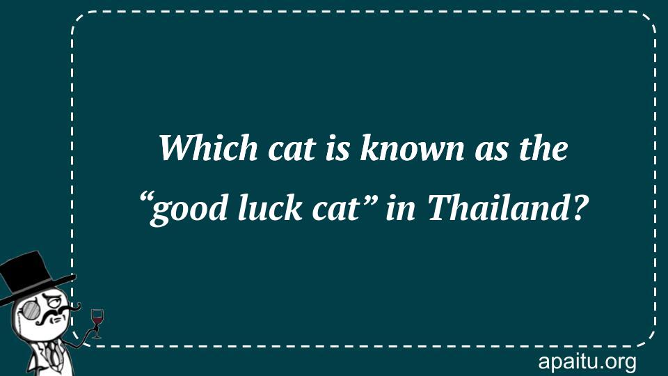 Which cat is known as the “good luck cat” in Thailand?