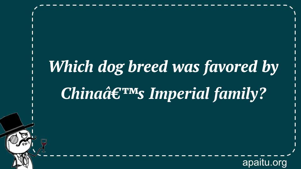 Which dog breed was favored by Chinaâ€™s Imperial family?