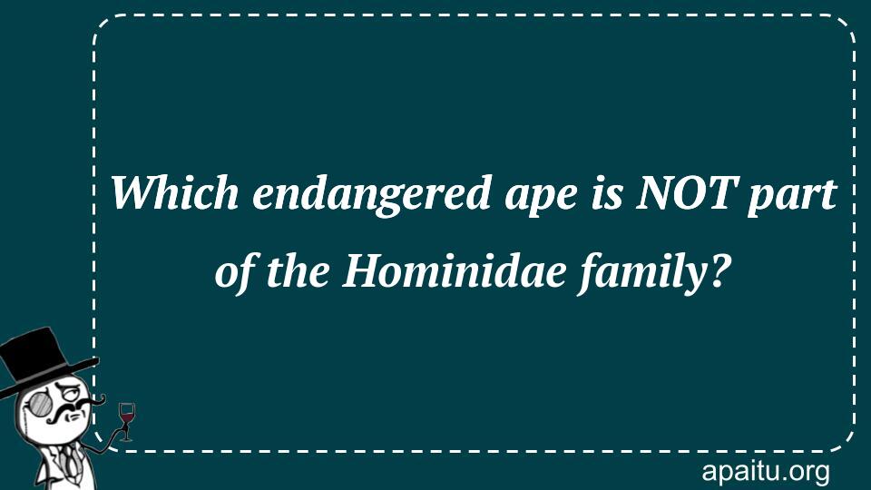 Which endangered ape is NOT part of the Hominidae family?