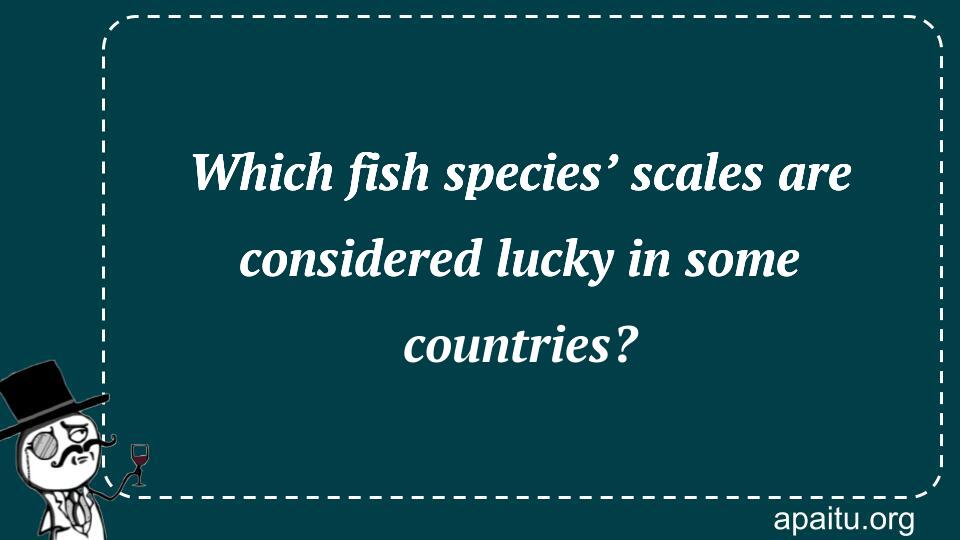 Which fish species’ scales are considered lucky in some countries?