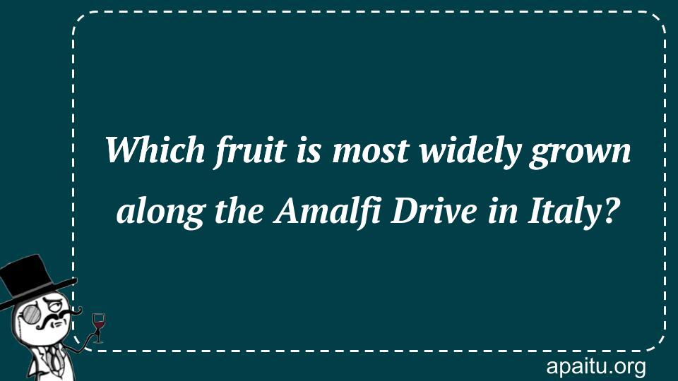 Which fruit is most widely grown along the Amalfi Drive in Italy?