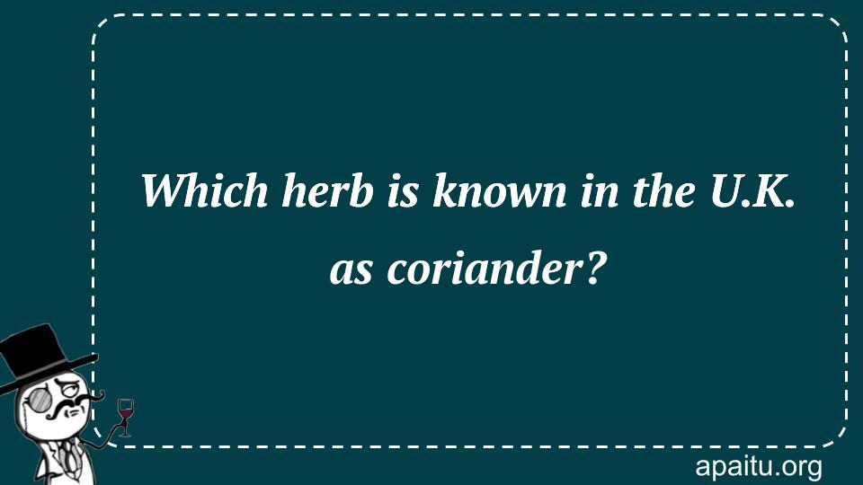 Which herb is known in the U.K. as coriander?