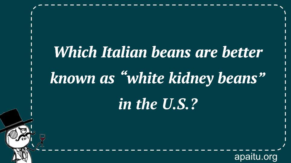 Which Italian beans are better known as “white kidney beans” in the U.S.?