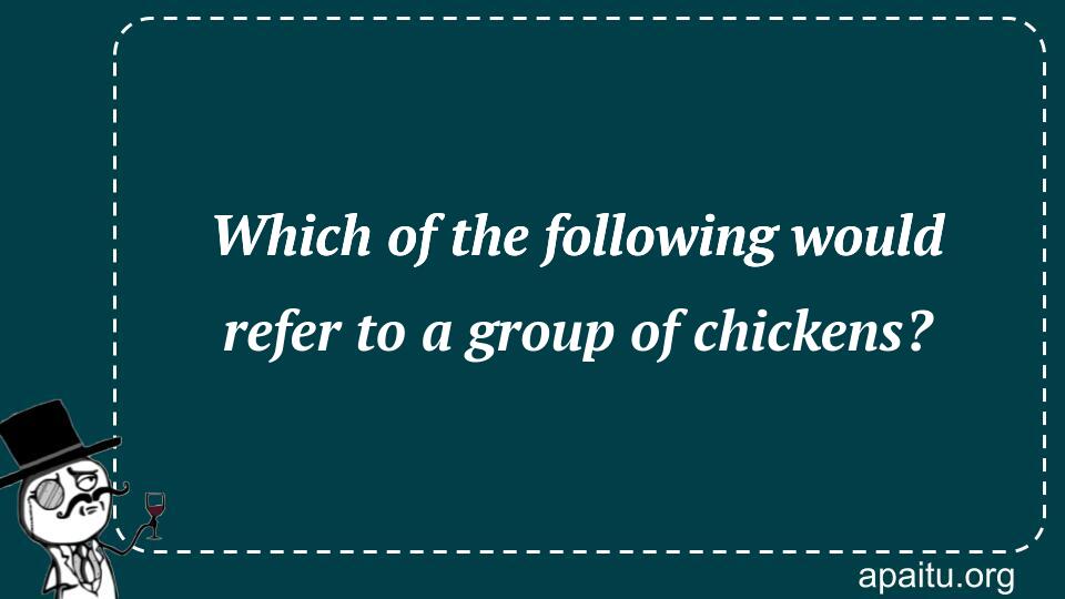 Which of the following would refer to a group of chickens?