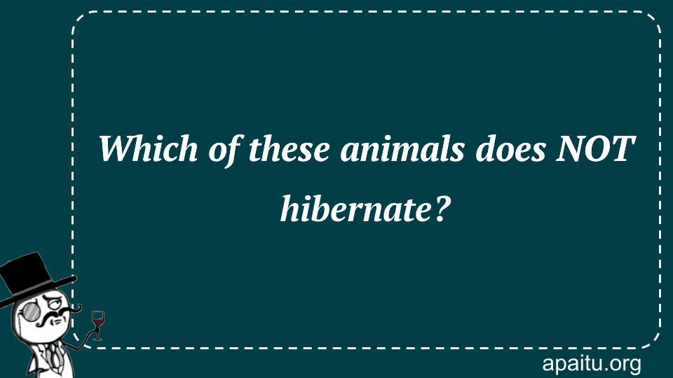 Which of these animals does NOT hibernate?