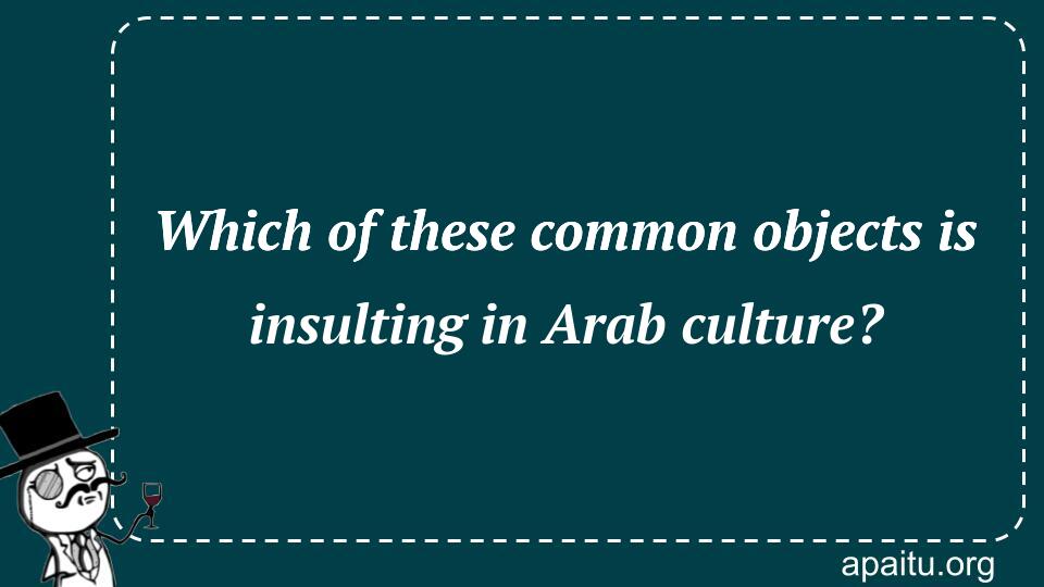 Which of these common objects is insulting in Arab culture?