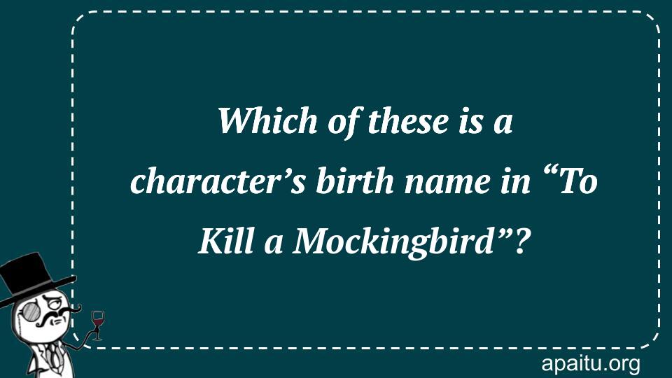 Which of these is a character’s birth name in “To Kill a Mockingbird”?