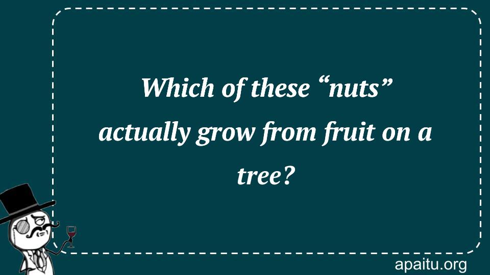 Which of these “nuts” actually grow from fruit on a tree?