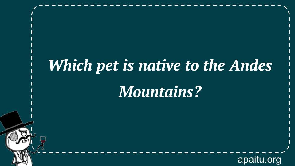 Which pet is native to the Andes Mountains?