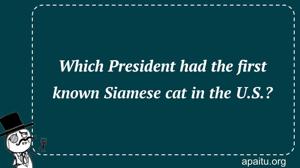 Which President had the first known Siamese cat in the U.S.?