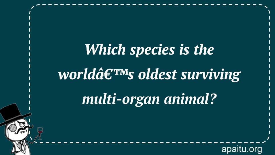 Which species is the worldâ€™s oldest surviving multi-organ animal?