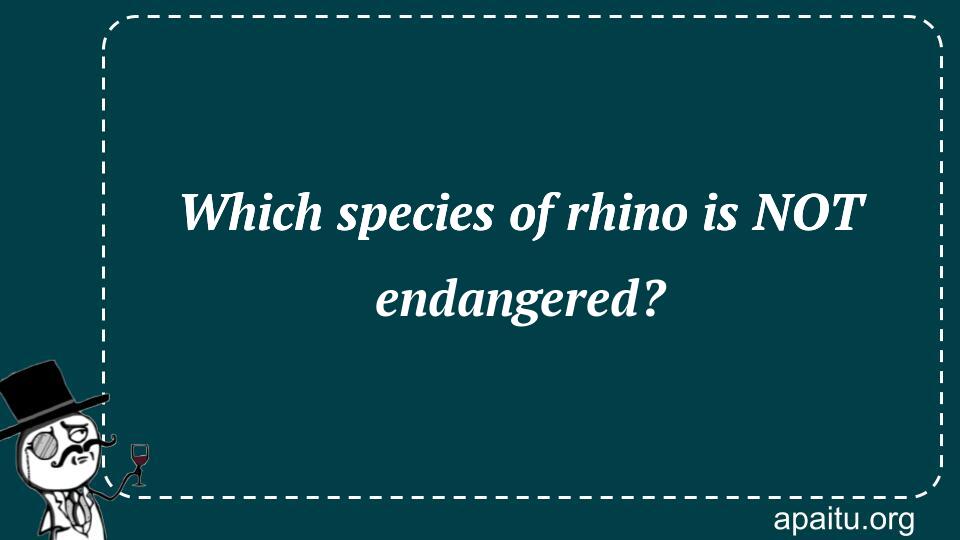 Which species of rhino is NOT endangered?