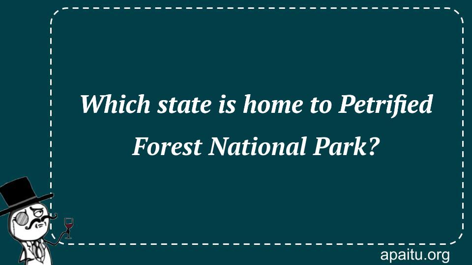 Which state is home to Petrified Forest National Park?