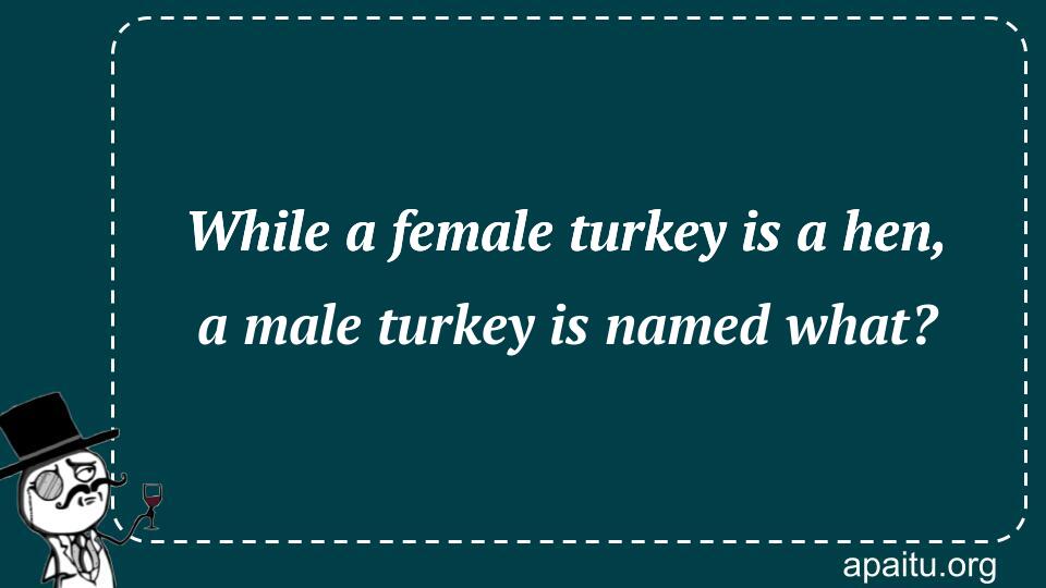 While a female turkey is a hen, a male turkey is named what?