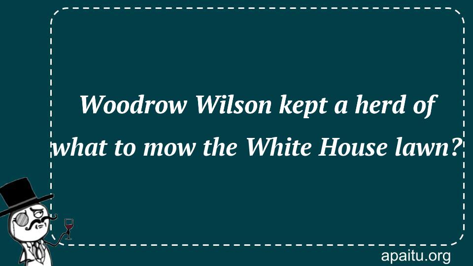 Woodrow Wilson kept a herd of what to mow the White House lawn?